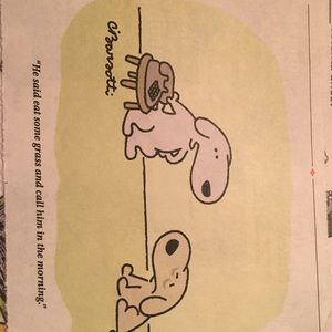 Meet your Posher, Avery